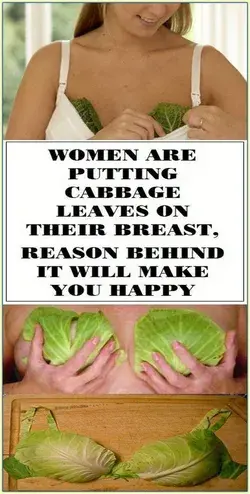 PUT A CABBAGE LEAF ON YOUR BREAST AND YOU WILL BE AMAZED BY RESULTS!