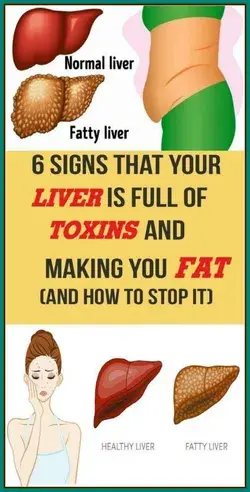 6 Signs That Your Liver is Full of Toxins