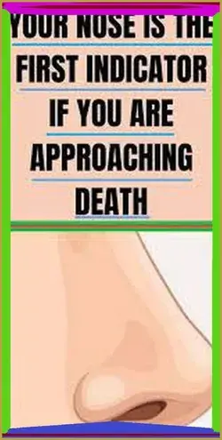 Your Nose is the First Indicator if You are Approaching Death