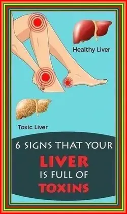 6 Signs That Your Liver Is Full Of Toxins