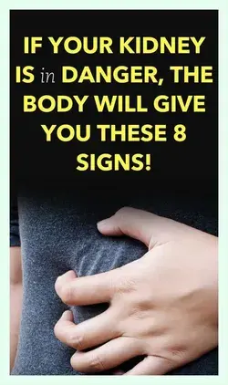 If Your Kidney Is in Danger, the Body Will Give You These 7 Signs!