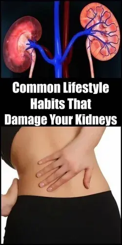 10 Most Common Habits That Damage Your Kidneys