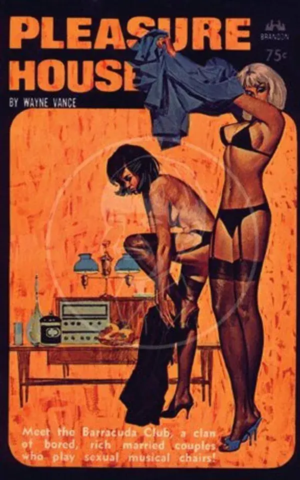 Pleasure House - 10x16 Giclée Canvas Print of Vintage Pulp Paperback