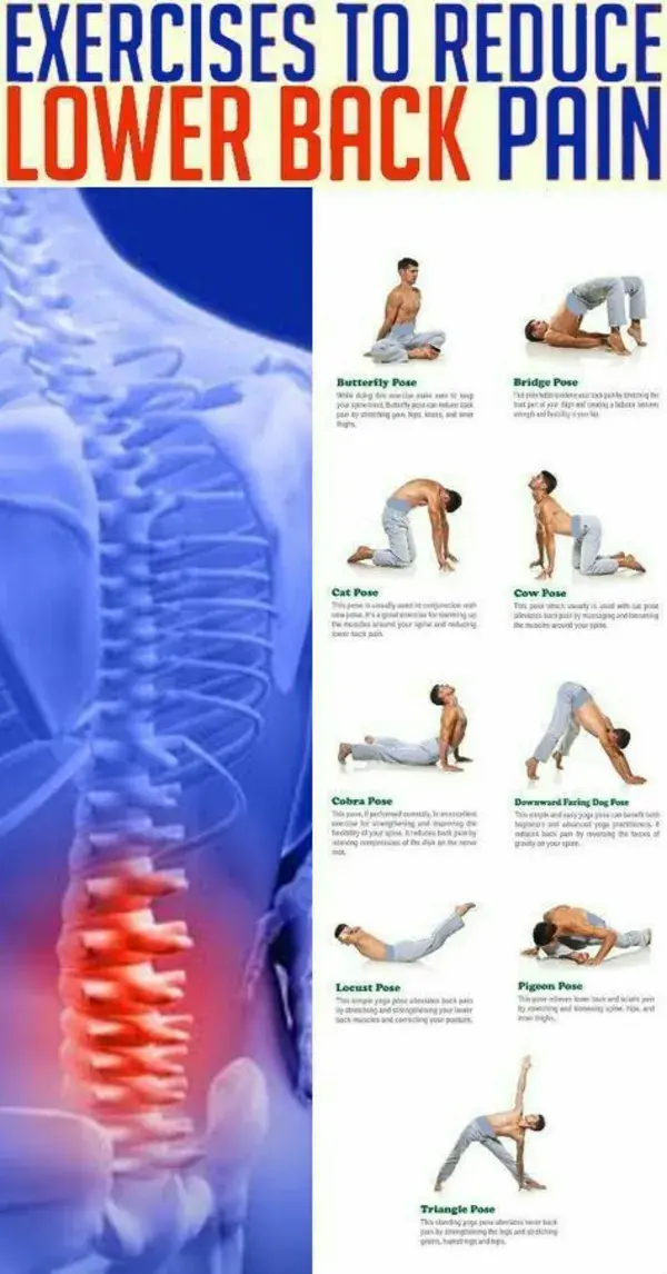Exercises to reduce lower back pain