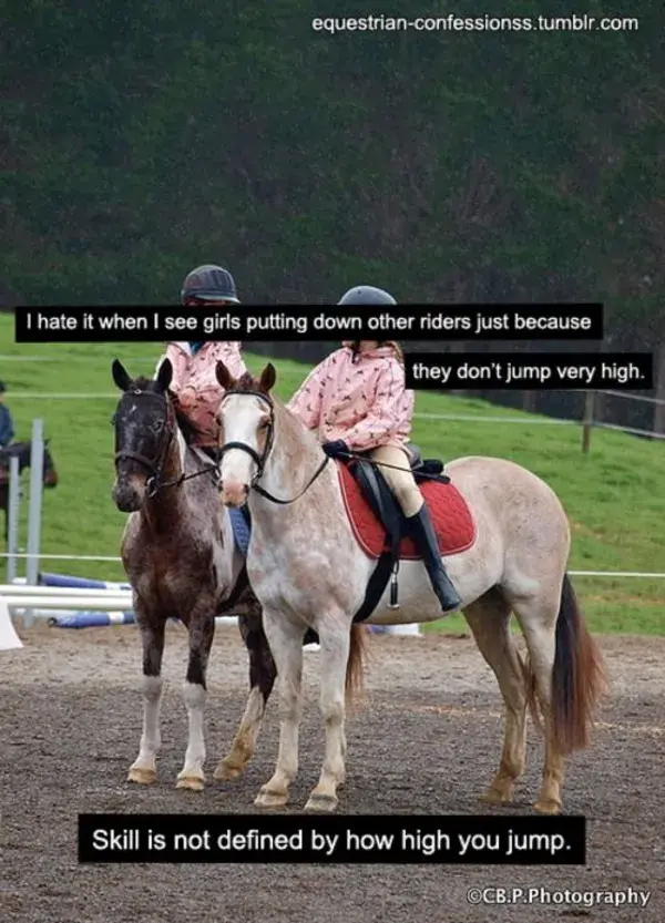 equestrian-confessionss.tumblr.com