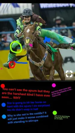 www.thinklikeahorse.org