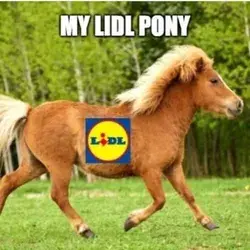 AH YES, EVERYTHING WE NEEDED IN LIFE A ✨LIDL✨ PONY