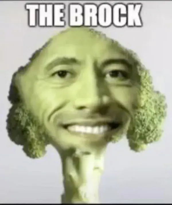 the rock