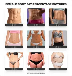 Body Fat Percentage Calculator for Men &amp; Women | Legion Athletics