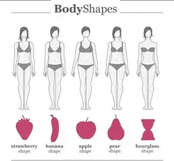 Female Body shape #body #shapes #bodyshapes