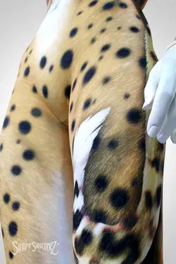 Cheetah Scoop Neck Catsuit Costume WITH PRINTED TAIL