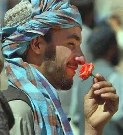 watanafghanistan.tumblr.com