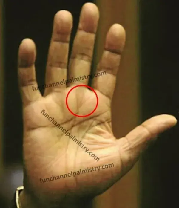 funchannelpalmistry.com