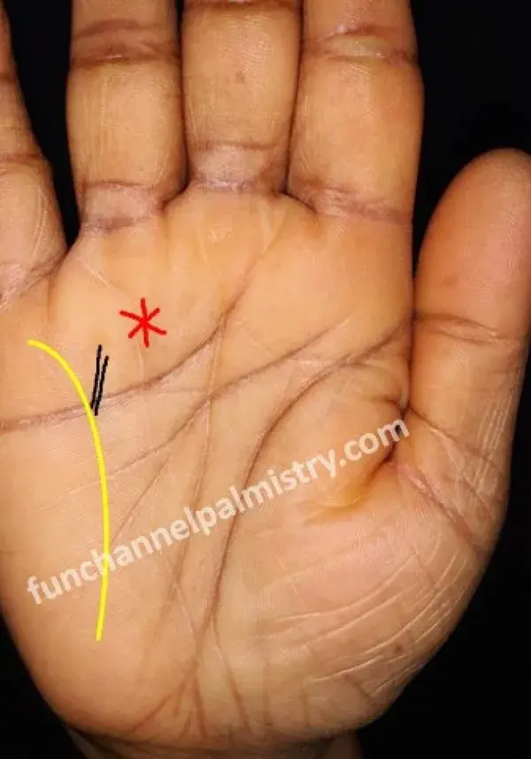 funchannelpalmistry.com