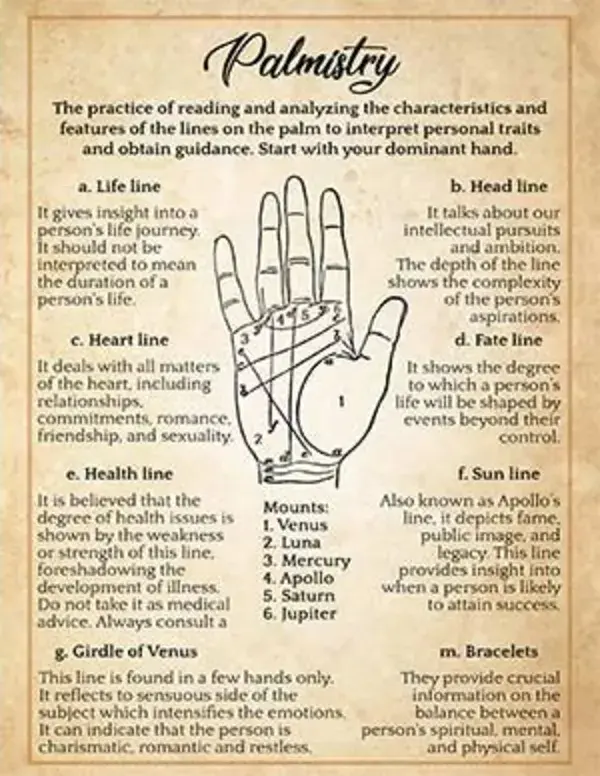 Palm Reading Guide: How to Read your Own Palm