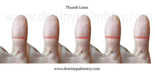 destinypalmistry.com