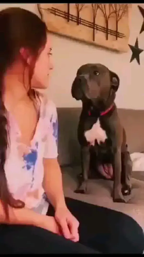 dog reaction 🤭