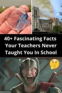 40+ Fascinating Facts Your Teachers Never Taught You In School