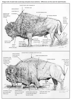 www.thecanadianencyclopedia.ca