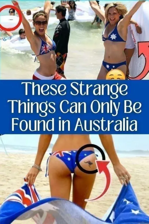 These Strange Things Can Only Be Found in Australia