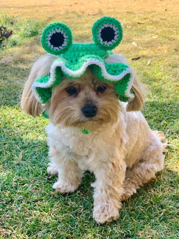 Free crochet dog froggie hat  pattern tutorial