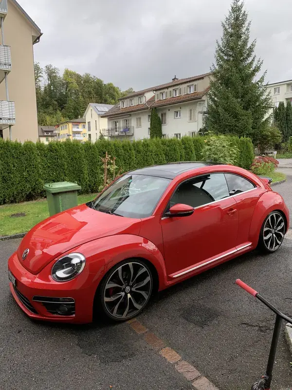 Beetle_GP73