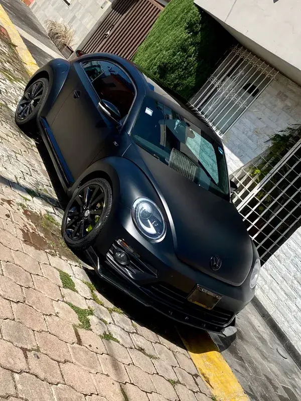 Triple black beetle