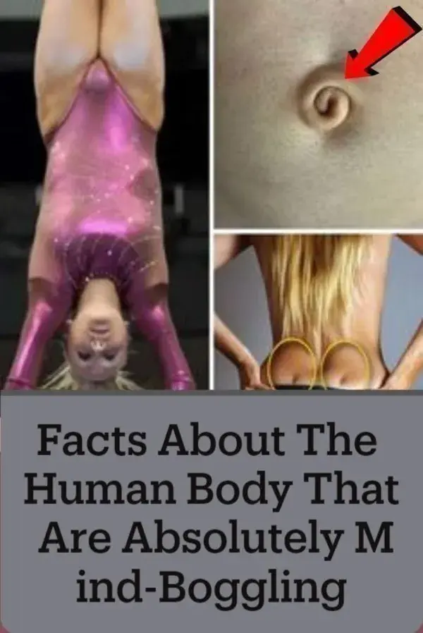 Facts About The Human Body That Are Absolutely Mind-Boggling