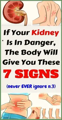 If Your Kidneys Are In Danger, Your Body Will Give You These 7 Signs