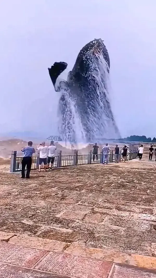 Incredible Huge Whale Jump near to The Beach