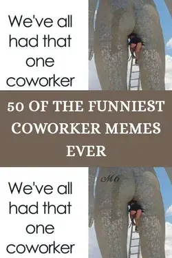 50 Of The Funniest Coworker Memes Ever