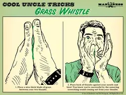 www.artofmanliness.com