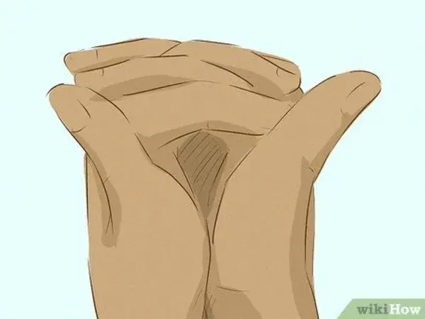 www.wikihow.com