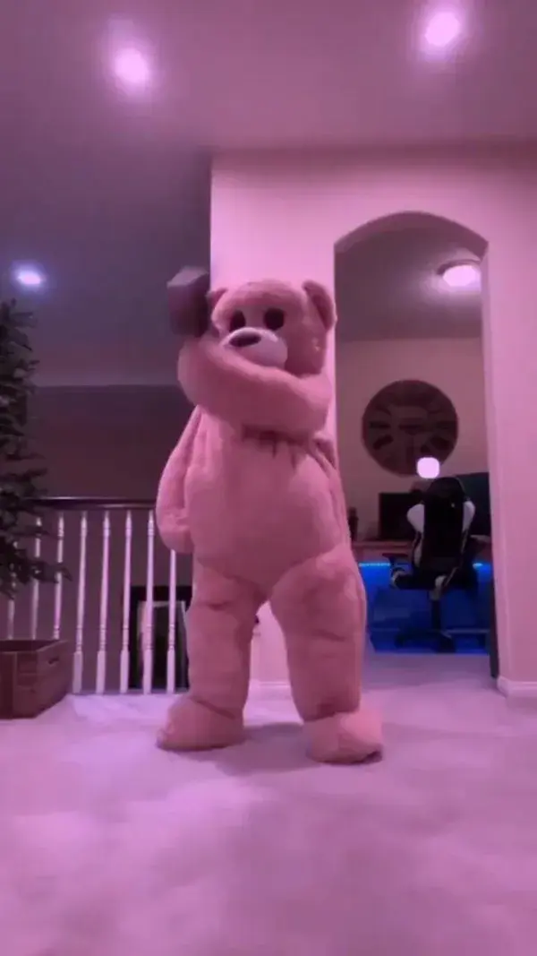 funny teddy