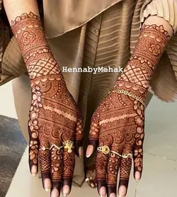 Bridal Mehndi inspo