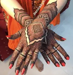 Bridal Mehndi inspo 