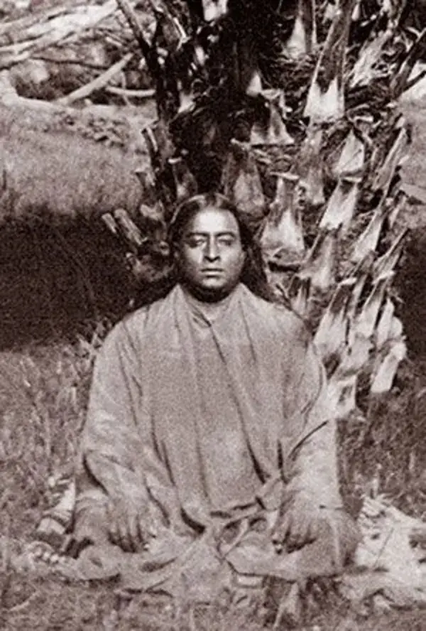 www.yogananda-srf.org