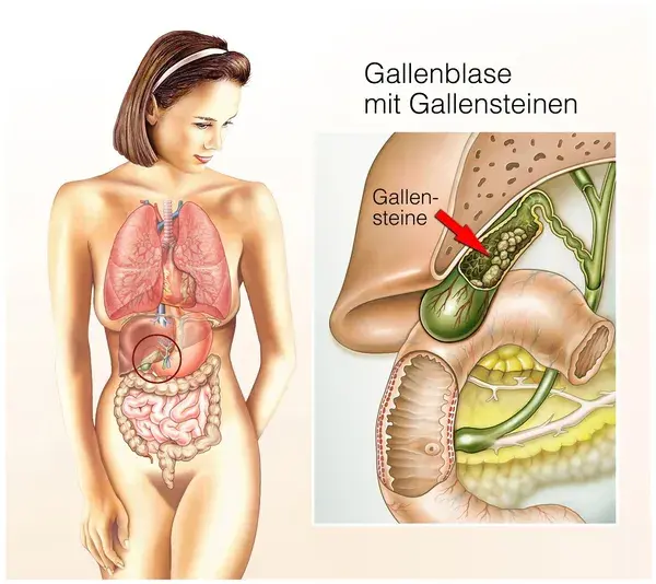 www.fid-gesundheitswissen.de