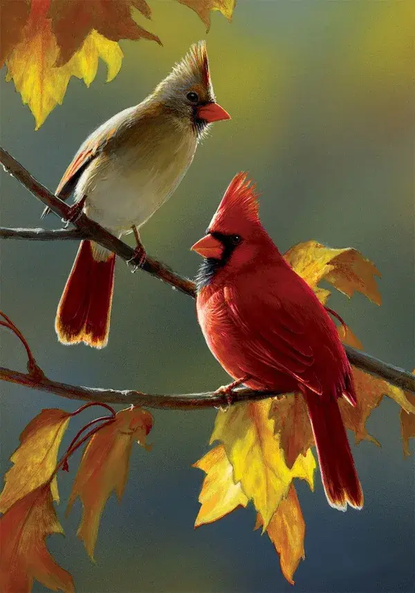 Fall Cardinal-Flag - Large