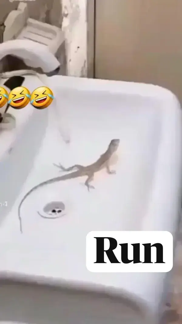 Run😂