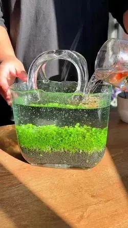 Diy aquarium