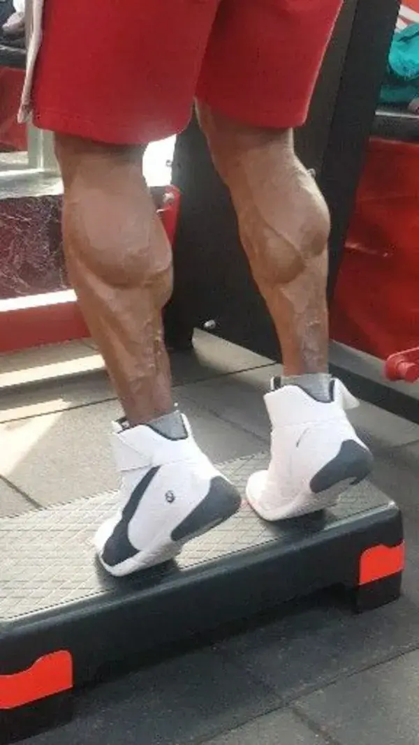 calves workout 