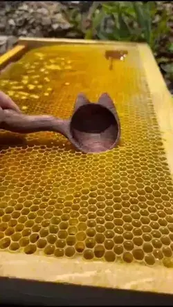 Satisfying Honey Collecting