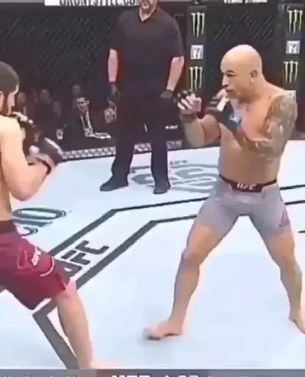 UFC Makhachev