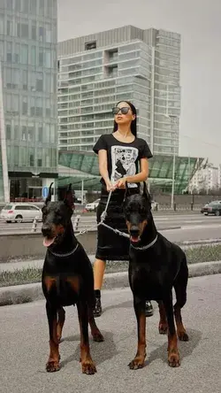 badass doberman aesthetic