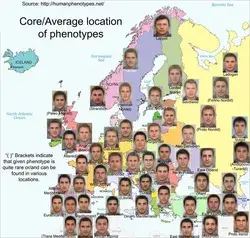 Map of human phenotypes in Europe