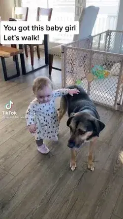 Learning to walk with a little help
from a friend