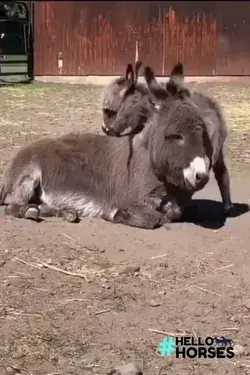 mother and child