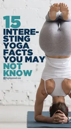 www.yogiapproved.com