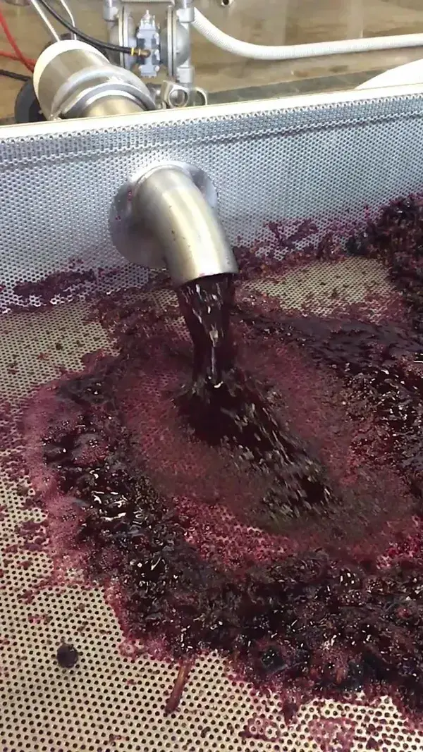 Winemaking in Slow Motion